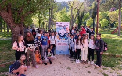 Morska pustolovina u Novigradu